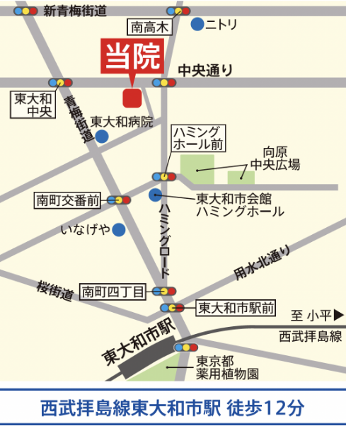 マップ